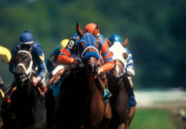 How Countries Celebrate Horse Racing