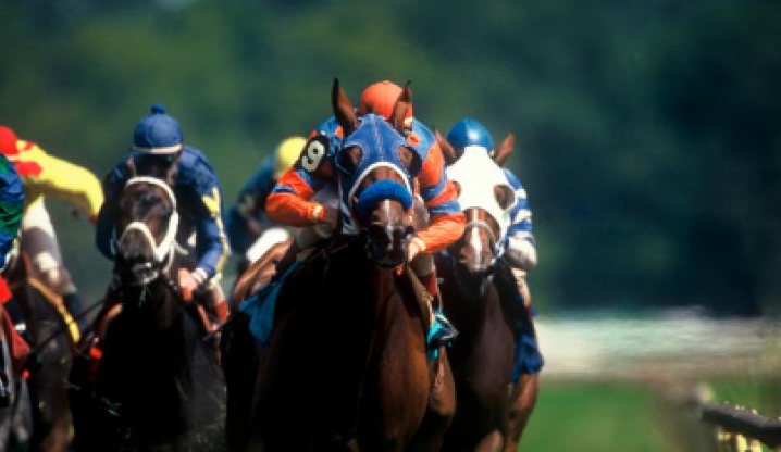 How Countries Celebrate Horse Racing